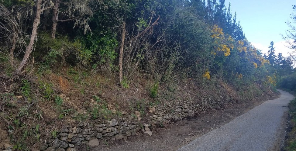 New section of trail opens - 7 December 2019