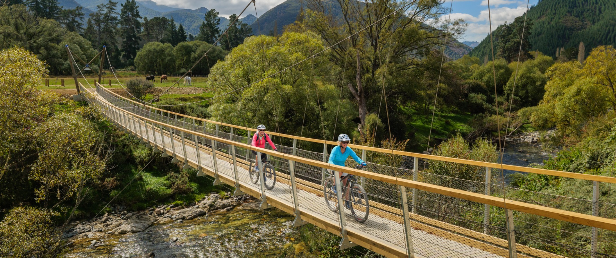 New Baton cycle bridge a significant milestone for the Great Taste Trail Banner